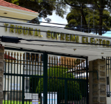 TSE entregará este miércoles 338 credenciales a asambleístas nacionales